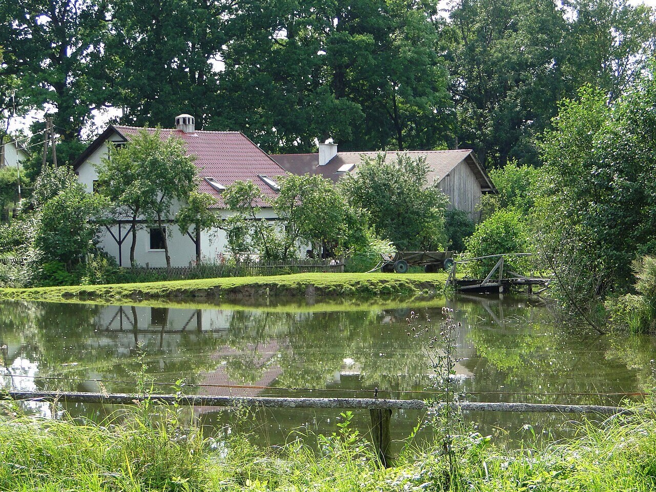 Wilczyny