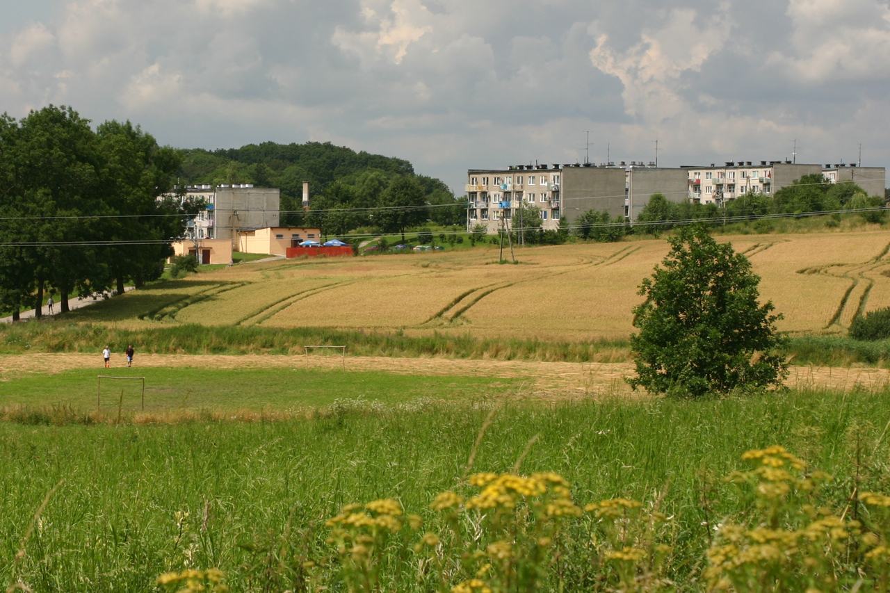 Wopławki