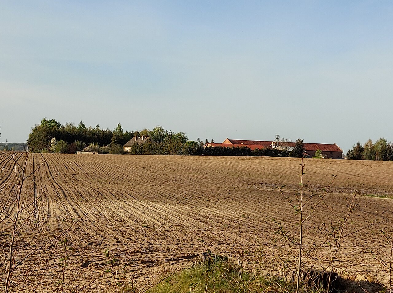 Sątoczno