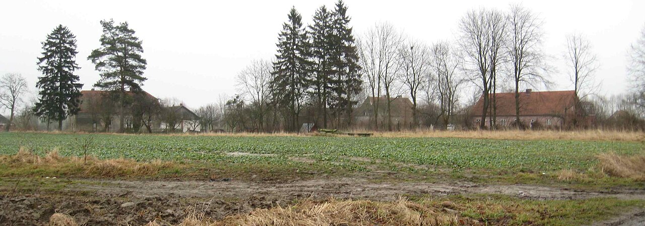 Kąpławki