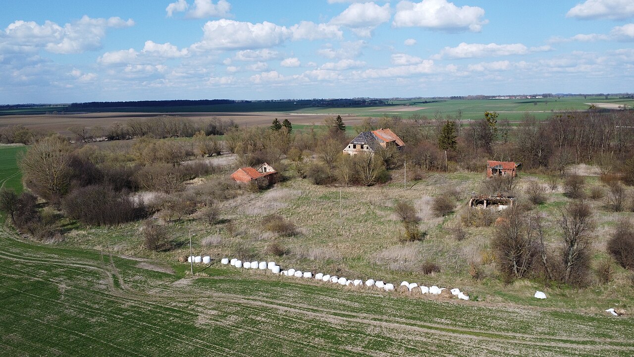 Gałwuny